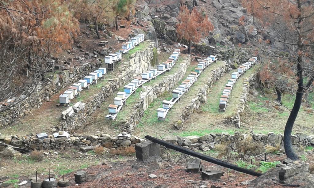 Charme Da Montanha Βίλα Montaria Εξωτερικό φωτογραφία